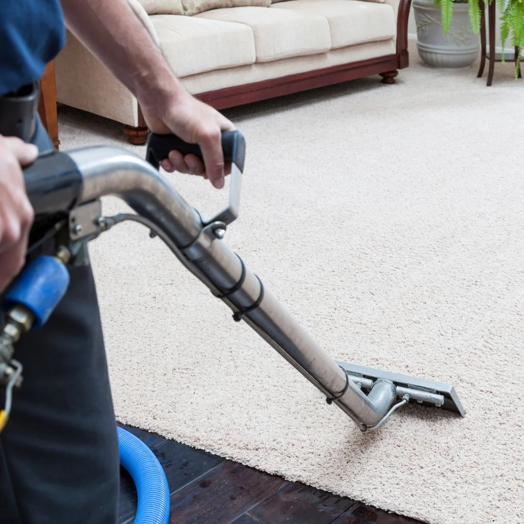 check out our carpet cleaning services in newcastle