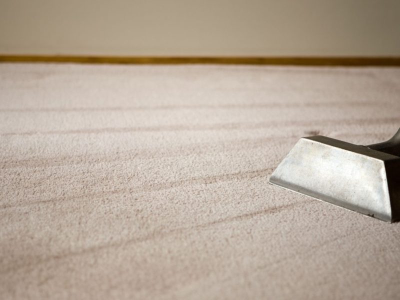 Expert carpet cleaning in Newcastle upon Tyne professional stain removal and thorough deep cleaning services